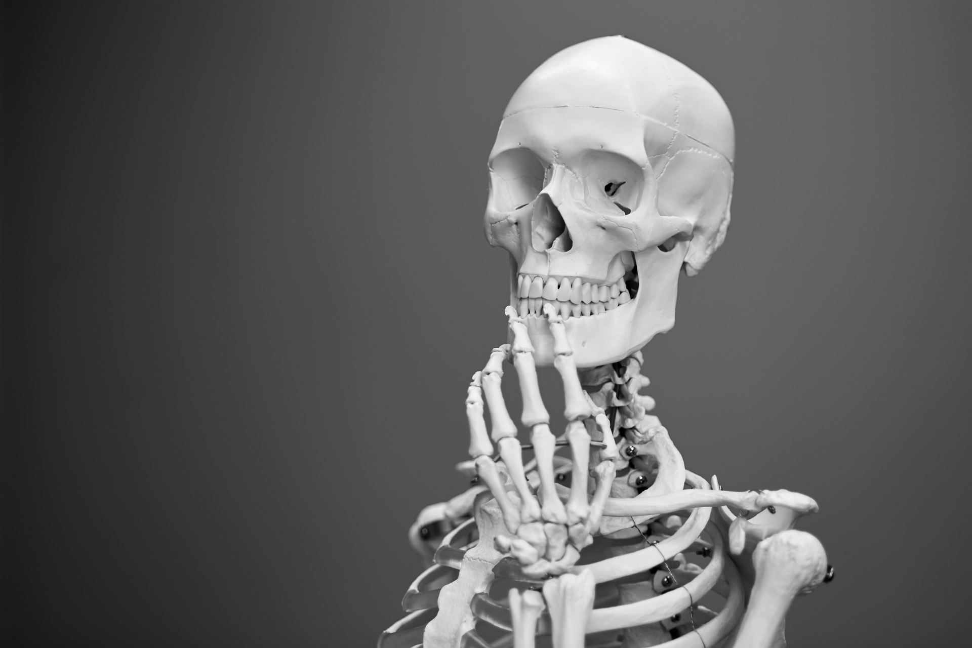 Bones